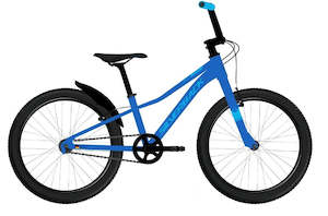 Kids 20 Wheel: 2025 SILVERBACK SKID 20" BOY