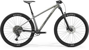 Performance Hardtails: 2025 BIG NINE TR 600