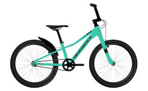 Kids 20 Wheel: 2025 SILVERBACK SKID 20" GIRL