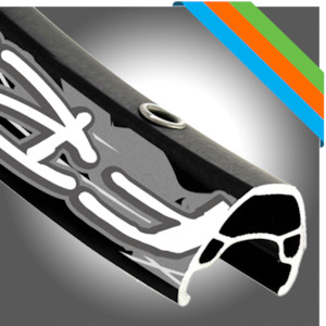 E Bikes: Alex- 29" FR30 E-Bike