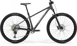 Performance Hardtails: 2026 BIG NINE TR 700