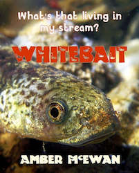 Non Fiction: What's that living in my Stream? Whitebait by Amber McEwan
