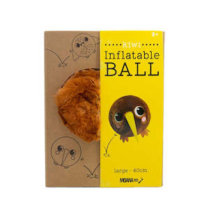 Children Other: Inflatable Ball with Pump - 40cm