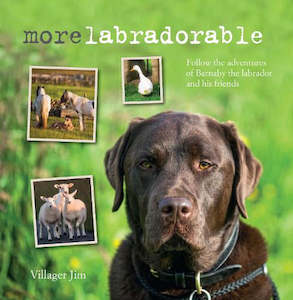 More Labradorable