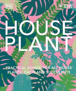 Dk House Plant