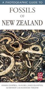 Fossils Of Nz