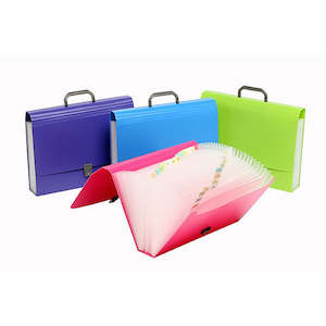 Stationery Filing Filing Accessories: Exspanding File Manager 26Pock Fc Green