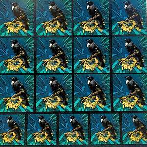 Scrapbook Cardstock- Tui Cutouts
