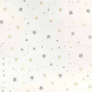 Scrapbook Cardstock - Star #03