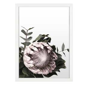 PROTEA PRINT