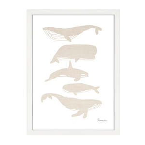 WHALES PRINT