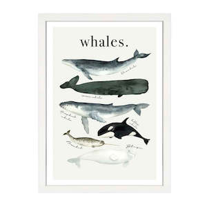 WATERCOLOUR WHALES PRINT
