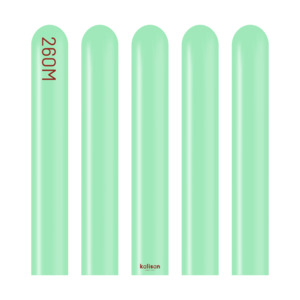 260 Modelling Standard MINT GREEN 100 bag #10223361