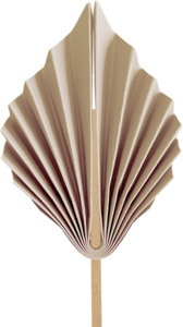 Paper Palm Leaf 15cm White Sand 2pk #5219WSP