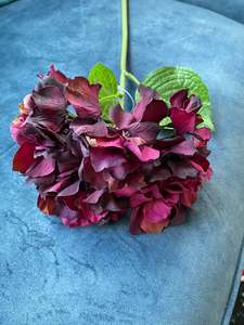 Tropical: Italian HYDRANGEA Stem #AAHIWI Wine -Each
