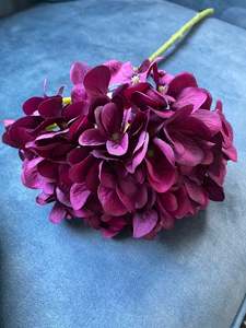 Tropical: Large French HYDRANGEA #AAFHGR Wine/Navy -Each