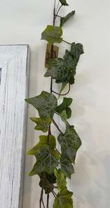 Tropical: 1.84m long Variegated Ivy #AAIVGV -Each
