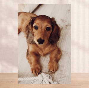 Christmas: Wood Rectangle Photo Block (Copy)