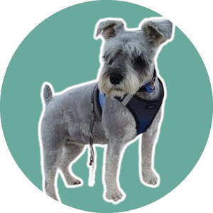 Dog Coats Jackets: VOUCHER