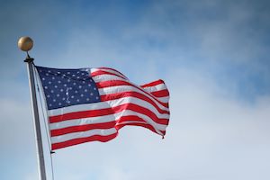 Standard Golf: Standard Golf American Flag