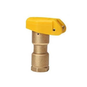 25mm Brass Quick Coupling Valve