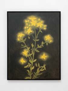 Briana Jamieson: Grapefruit