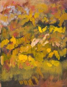 Matt Arbuckle: Bloom