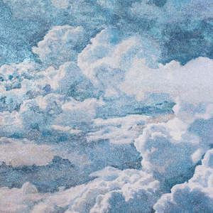 Ka Whakatutumaiao te Kapua