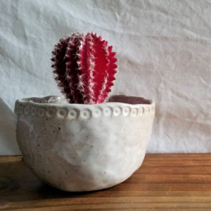 Ceramics: Handbuilding Clay Course at Parnell Community Centre - the village square trust