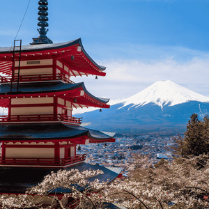 Products: Japanese - Post Beginners Parnell Community Centre - the village square trust