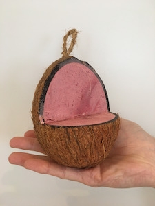 Wild Bird Coconut Feeder - Cherry