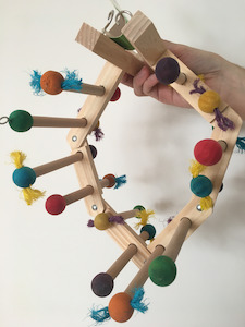 Frontpage: Forage and Play Ladder