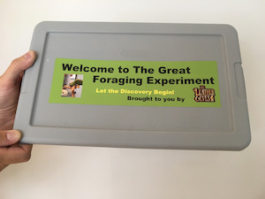 Sold Out Items: The Great Foraging Experiment