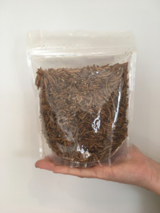 Wild Birds: Dried Mealworms