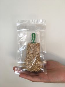 Treats: Bird Seed Bell - Budgie