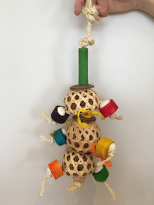 Bfcm Discounts 20: Foraging Caterpillar