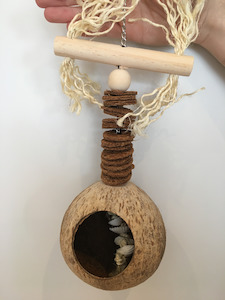 Bfcm Discounts 20: Coconut Treasure Hunt