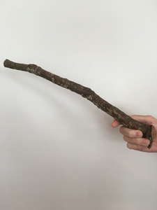 New: Kauri Perch