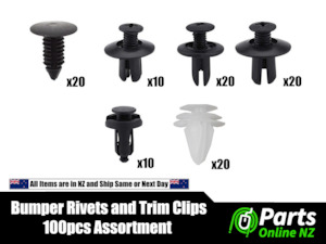 Consumable Assortments: Automotive Bumper Guard Liner Rivets and Trim Clips - 100 Piece Bulk Assortment