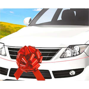 General Birthday: Giant Red Car Bow