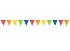 Large Outdoor Bunting Flag Banner 10mtrs