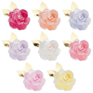 Disposable Plates: Rose Garden Plates Assorted  Colours  24x18cm (8)