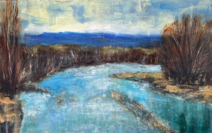 Manuherikia River at Galloway Nigel Wilson