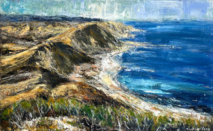 Tora - Wairarapa Coast 1 Nigel Wilson