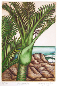 Products: Punakaiki Mary Taylor
