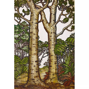 Products: Kauri Trees Mary Taylor