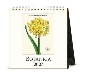 Desk Calendar - Botanica (C)