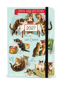 2026 Diaries: Diary - Cats