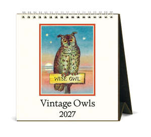 Desk Calendars: Desk Calendar - Vintage Owls