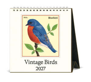 Desk Calendar - Vintage Birds